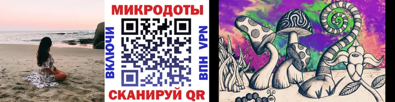 Купить закладки  Городовиковск  Галлюциногенные грибы мухоморы 