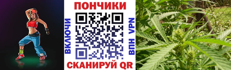 Марихуана VHQ Купить Городовиковск